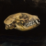 Fox Skull